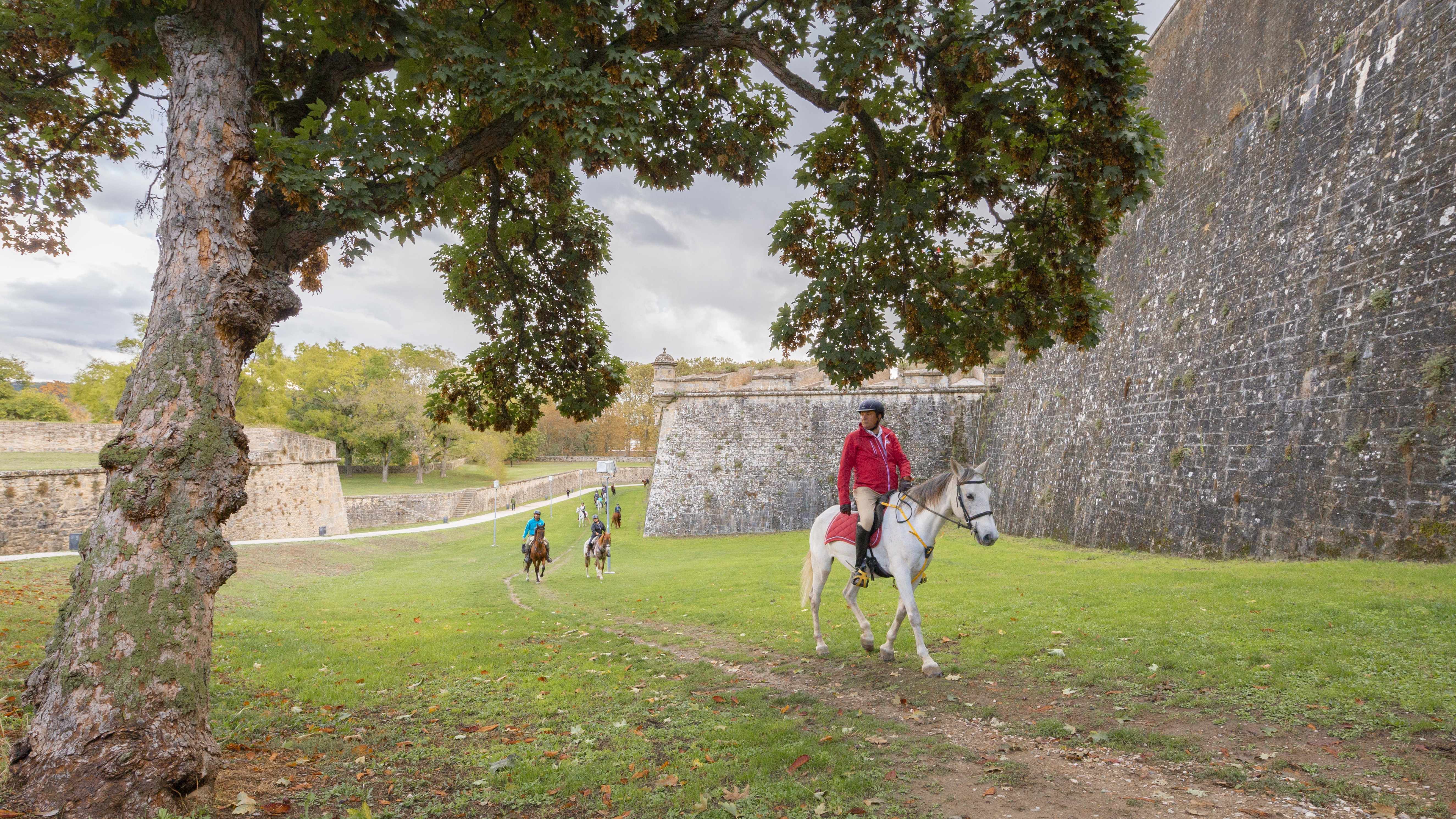 Gran Éxito de la Primera Concentración del Camino de Santiago a Caballo